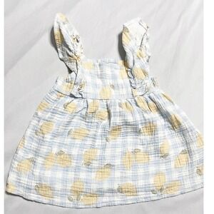 Emily And Oliver Baby Girls Size 24M Blue Gingham Lemon Print Gauzy Cotton Dress